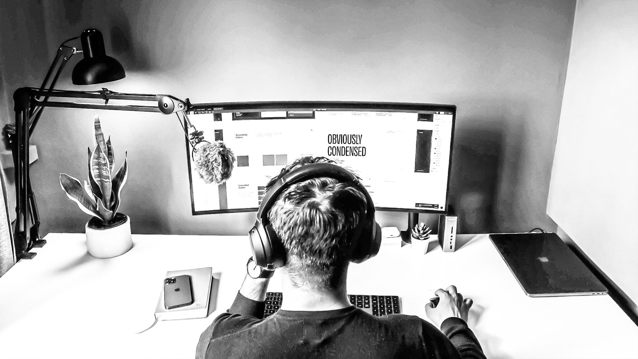 brand discovery, branding, design
