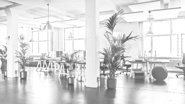 marketing and branding agency, brand