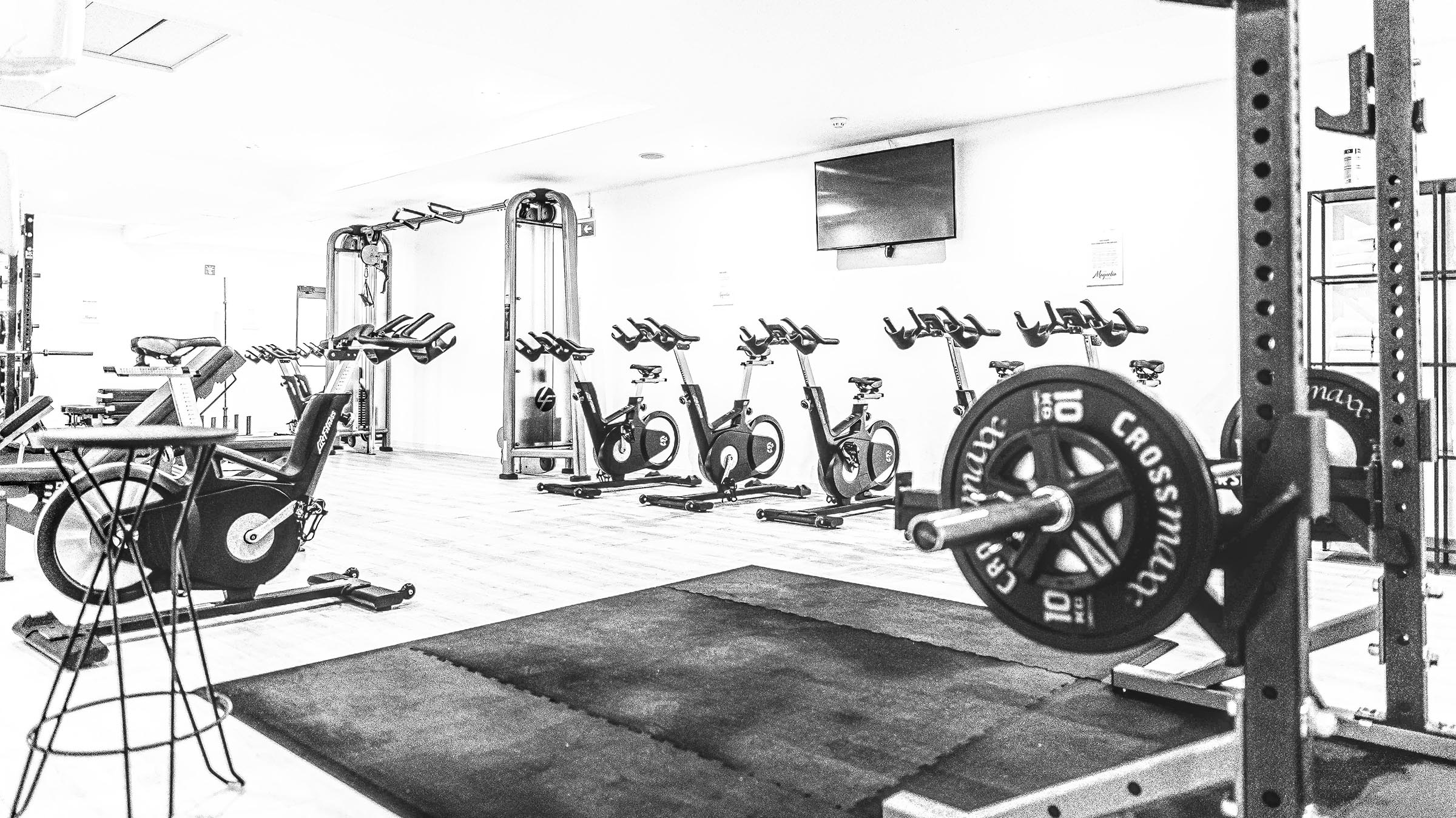 digital marketing, gym, marketing, optimization, SEO